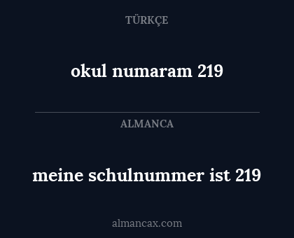 meine schulnummer ist 219 - okul numaram 219