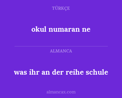 okul numaran ne - was ihr an der reihe schule