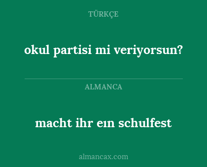 macht ihr eın schulfest - okul partisi mi veriyorsun?
