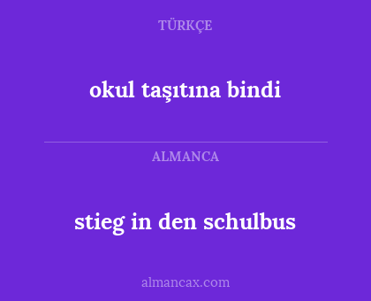 stieg in den schulbus - okul taşıtına bindi