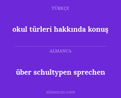 über schultypen sprechen - okul türleri hakkında konuş