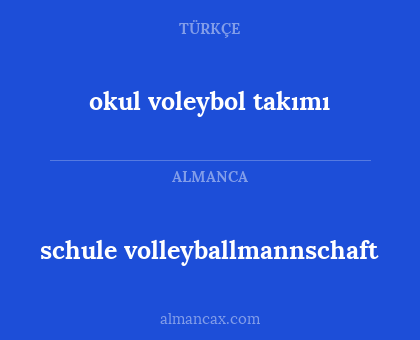 schule volleyballmannschaft - okul voleybol takımı