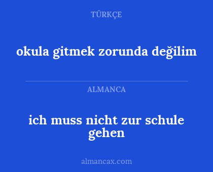 ich muss nicht zur schule gehen - okula gitmek zorunda değilim