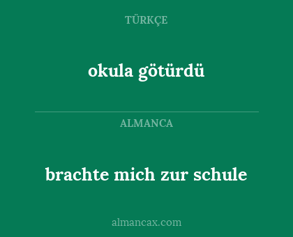 okula götürdü - brachte mich zur schule