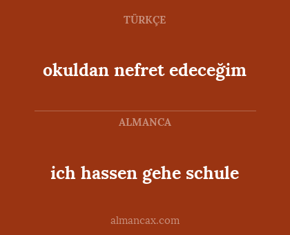 ich hassen gehe schule - okuldan nefret edeceğim