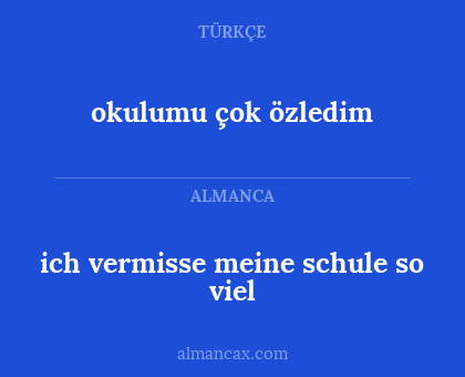 ich vermisse meine schule so viel - okulumu çok özledim