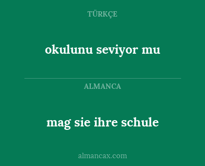 mag sie ihre schule - okulunu seviyor mu