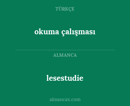 lesestudie - okuma çalışması