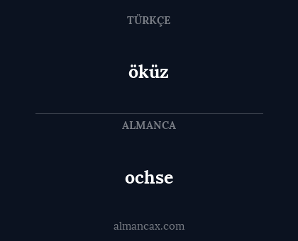 ochse - öküz