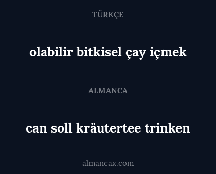 olabilir bitkisel çay içmek - can soll kräutertee trinken