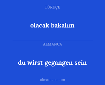 olacak bakalım - du wirst gegangen sein