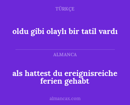 oldu gibi olaylı bir tatil vardı - als hattest du ereignisreiche ferien gehabt
