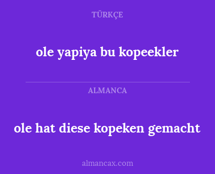 ole yapiya bu kopeekler - ole hat diese kopeken gemacht
