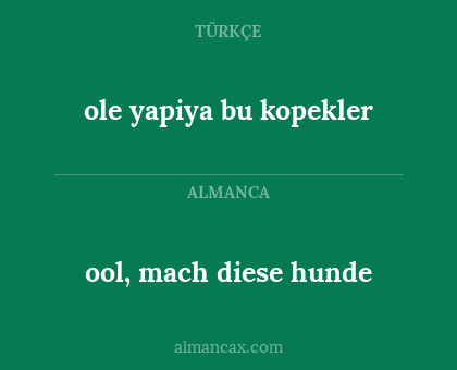 ool, mach diese hunde - ole yapiya bu kopekler