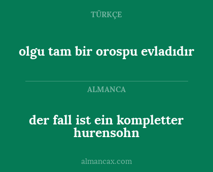 der fall ist ein kompletter hurensohn - olgu tam bir orospu evladıdır