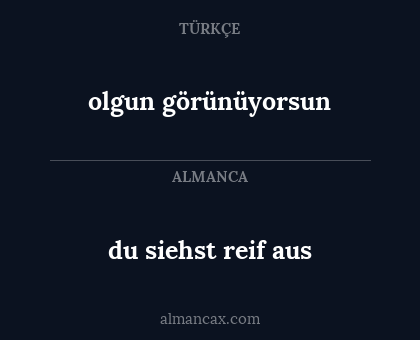 olgun görünüyorsun - du siehst reif aus