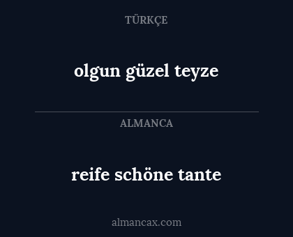 olgun güzel teyze - reife schöne tante
