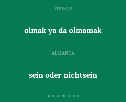 sein oder nichtsein - olmak ya da olmamak
