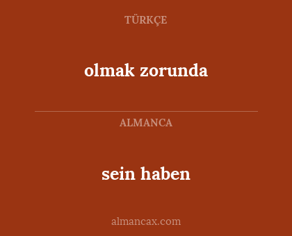 sein haben - olmak zorunda