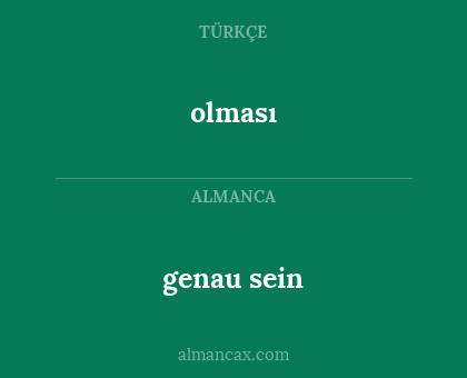 olması - genau sein