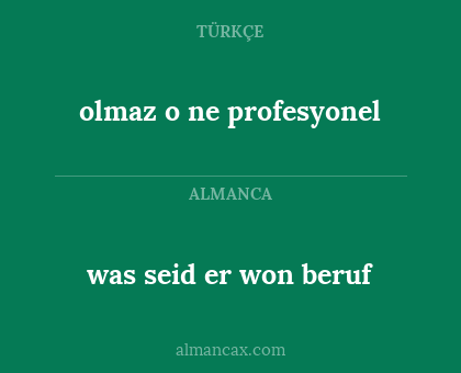 olmaz o ne profesyonel - was seid er won beruf