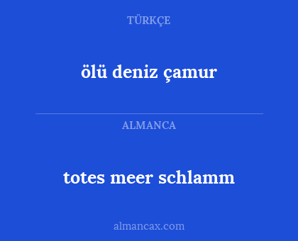 totes meer schlamm - ölü deniz çamur