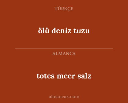 ölü deniz tuzu - totes meer salz