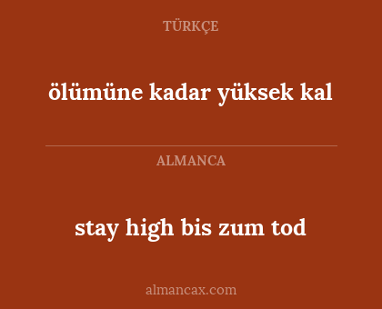 stay high bis zum tod - ölümüne kadar yüksek kal