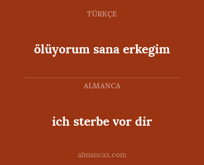 ich sterbe vor dir - ölüyorum sana erkegim