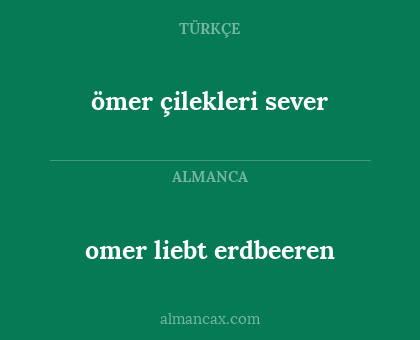 omer liebt erdbeeren - ömer çilekleri sever