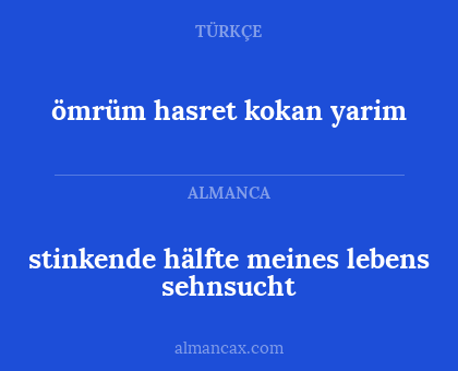 stinkende hälfte meines lebens sehnsucht - ömrüm hasret kokan yarim