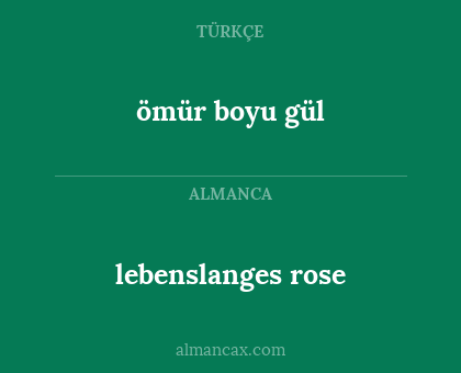 lebenslanges rose - ömür boyu gül