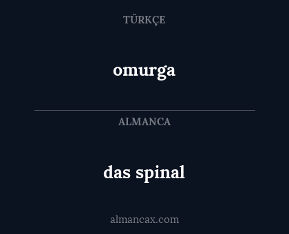 das spinal - omurga