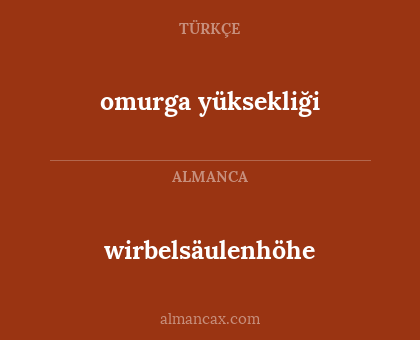 omurga yüksekliği - wirbelsäulenhöhe