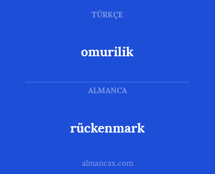 rückenmark - omurilik