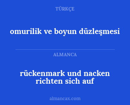 rückenmark und nacken richten sich auf - omurilik ve boyun düzleşmesi
