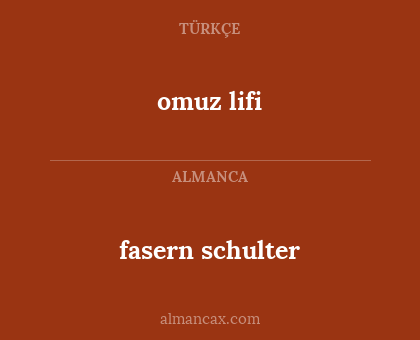 fasern schulter - omuz lifi
