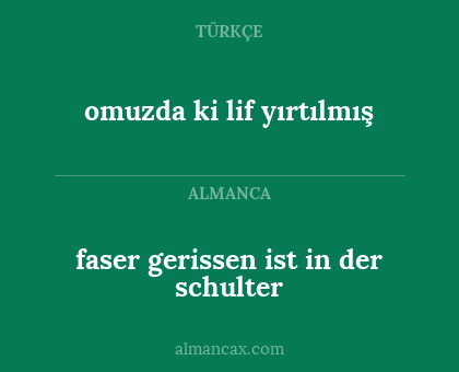 faser gerissen ist in der schulter - omuzda ki lif yırtılmış