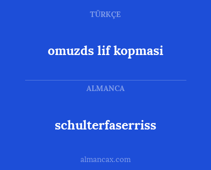schulterfaserriss - omuzds lif kopmasi