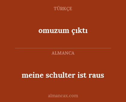 meine schulter ist raus - omuzum çıktı