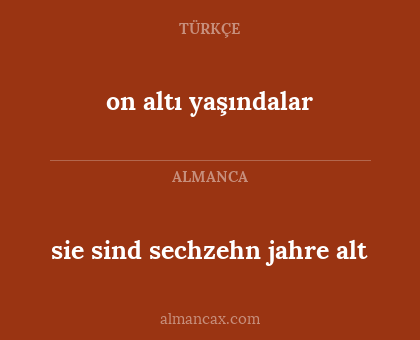 on altı yaşındalar - sie sind sechzehn jahre alt