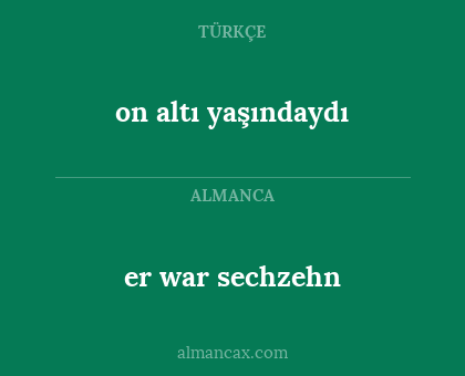 er war sechzehn - on altı yaşındaydı