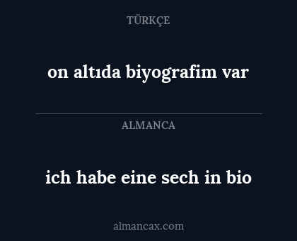 ich habe eine sech in bio - on altıda biyografim var
