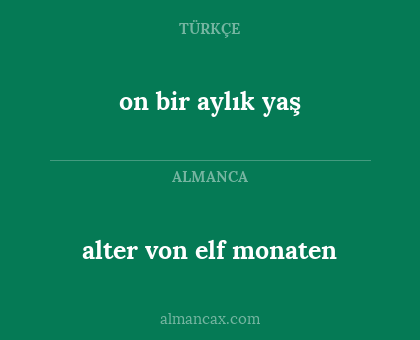 alter von elf monaten - on bir aylık yaş