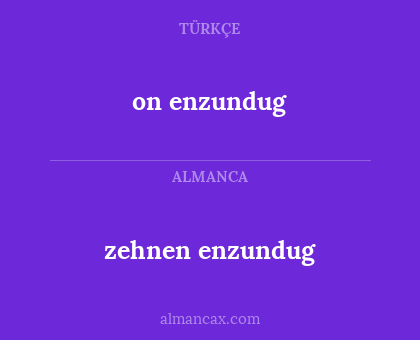 on enzundug - zehnen enzundug
