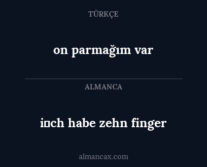 i̇ch habe zehn finger - on parmağım var