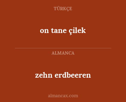 on tane çilek - zehn erdbeeren
