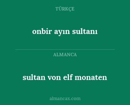onbir ayın sultanı - sultan von elf monaten