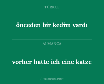 vorher hatte ich eine katze - önceden bir kedim vardı