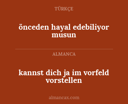 kannst dich ja im vorfeld vorstellen - önceden hayal edebiliyor musun